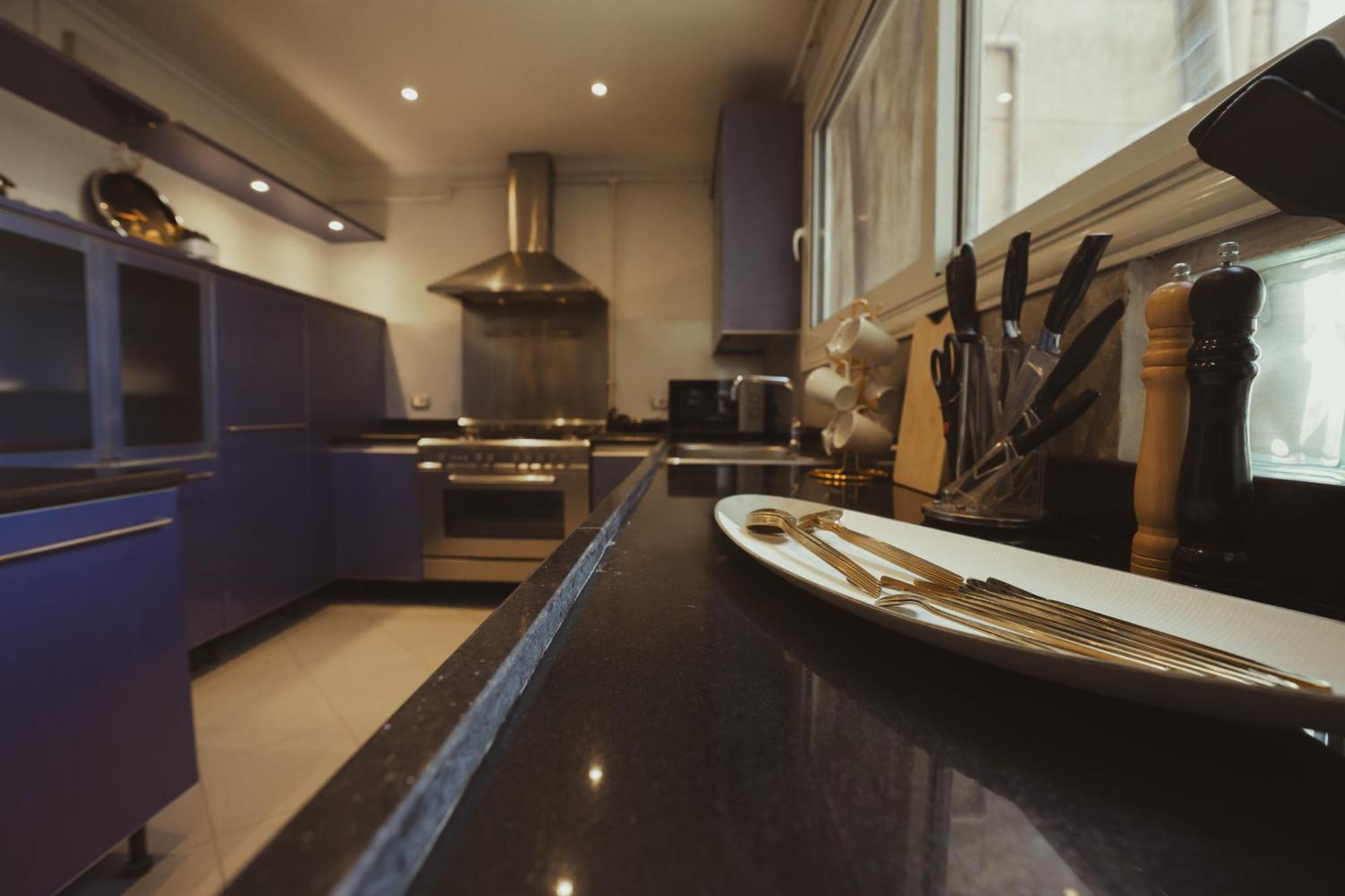 Nile Zamalek - Luxurious Retreat Apartment Cairo